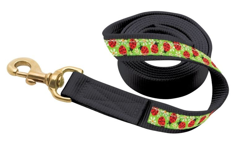 Perris Nylon Ribbon Lead/Snap - Ladybugs 6ft Brn