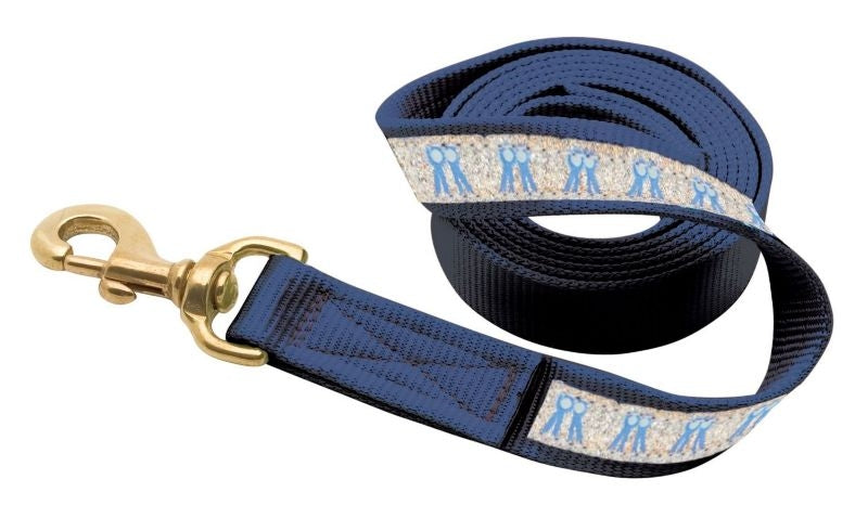 Perris Nylon Ribbon Lead With Snap 6ft Br