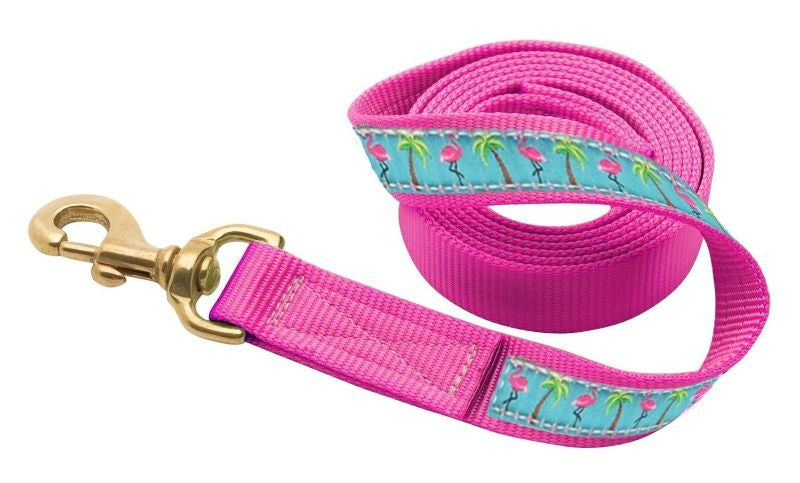 Perris Nylon Ribbon Lead With Snap 6ft Br