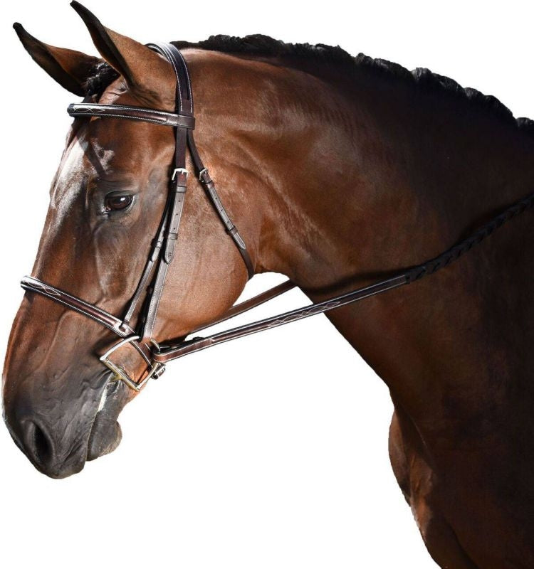 M Toulouse Annice Hunter Bridle Cob Chocolate