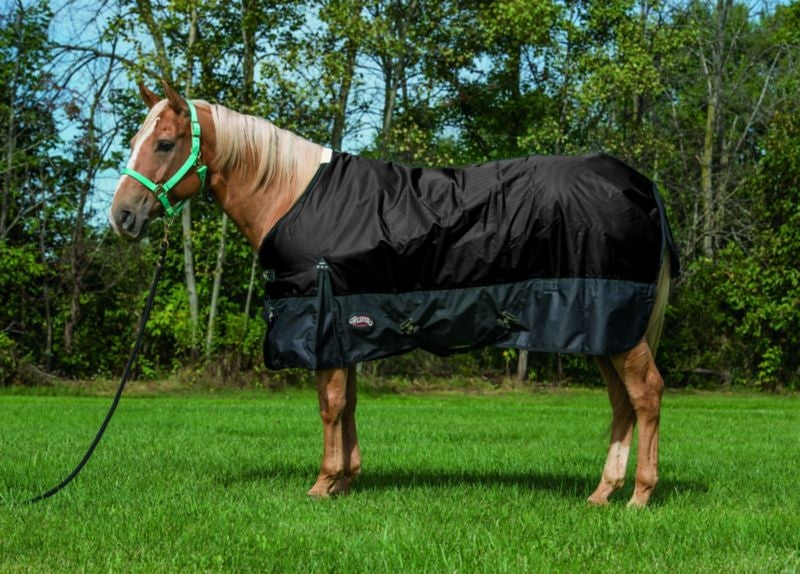Weaver Economy 600 D Turnout - 180 gm 69 Black