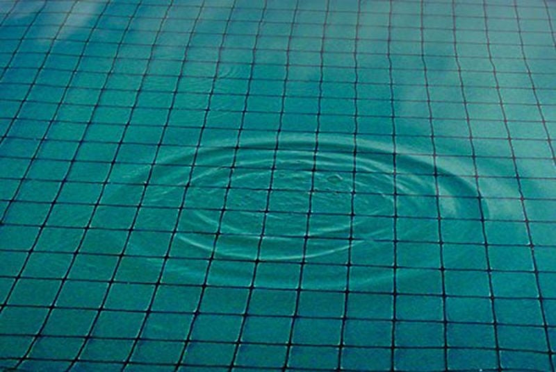 Bird And Pond Netting 28X28 Black