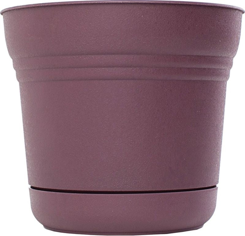 Saturn Planter 12in Passion Fruit