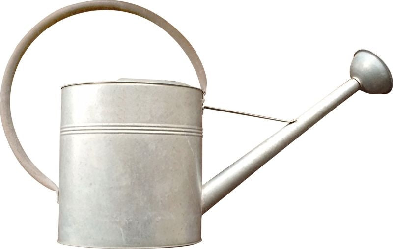 Vintage Galvanized Watering Can 3.2gal