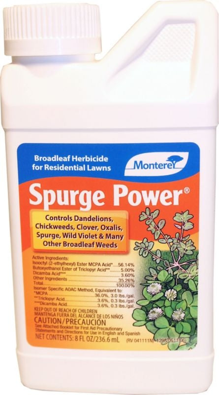 Spurge Power 8oz
