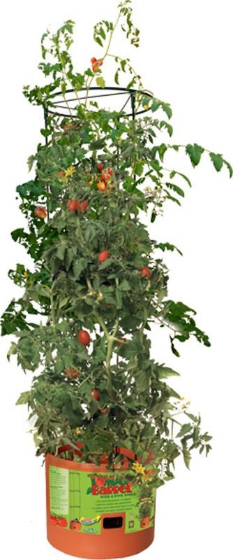 Tomato Barrel with Tower