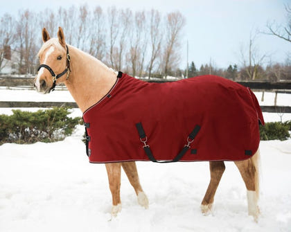 Tough1 Safety Shock Bungee Trailer Tie