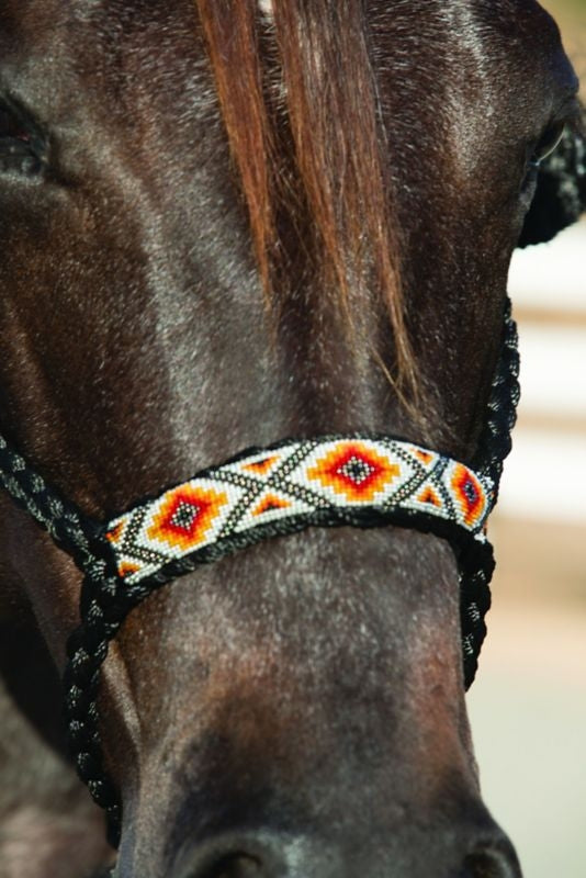 Pro Cho Cowboy Braided Halter 10 Lead Black