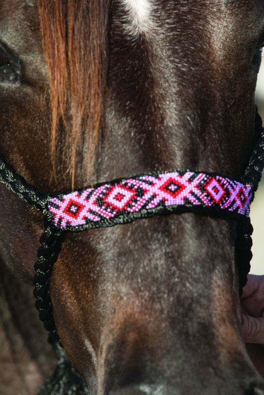 Pro Cho Cowboy Braided Halter 10 Lead Black