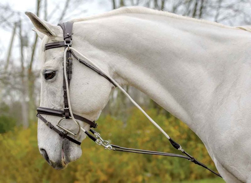 Shires Avignon De Gogue Trainng Aid