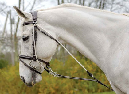 Shires Avignon De Gogue Trainng Aid