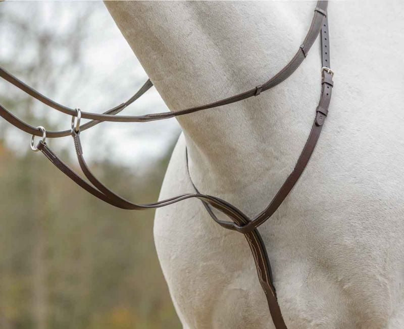 Shires Avignon Running Martingale