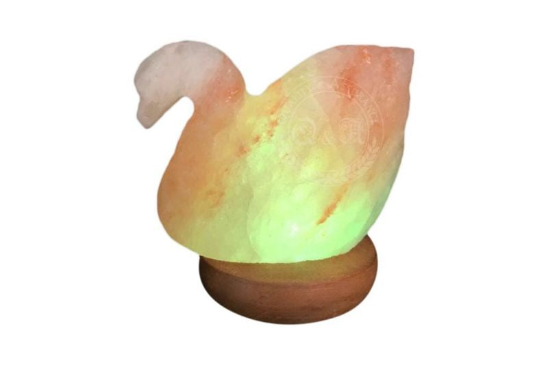 Himalayan Rock Salt Mini Swan Lamp 2lbs Bk/Wh