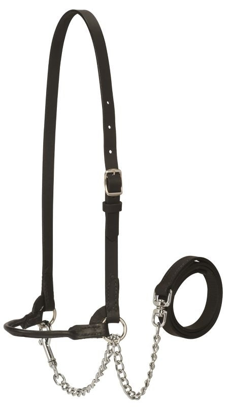 Weaver Dairy Halter