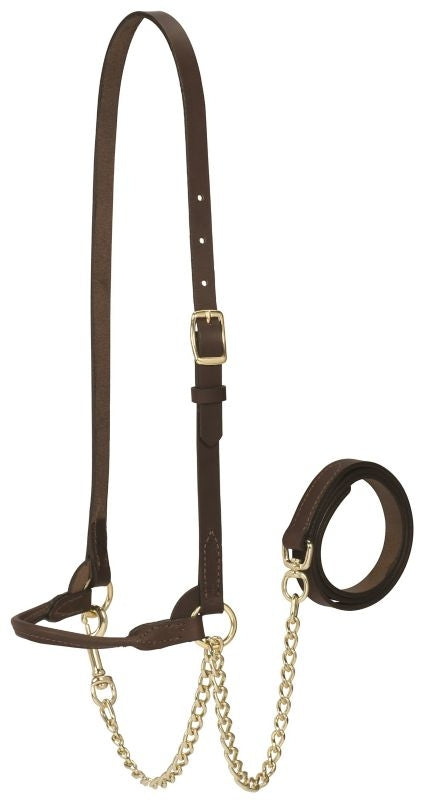 Weaver Dairy Halter