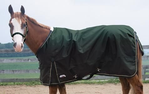 600D Ripstop Waterproof T/O Blanket