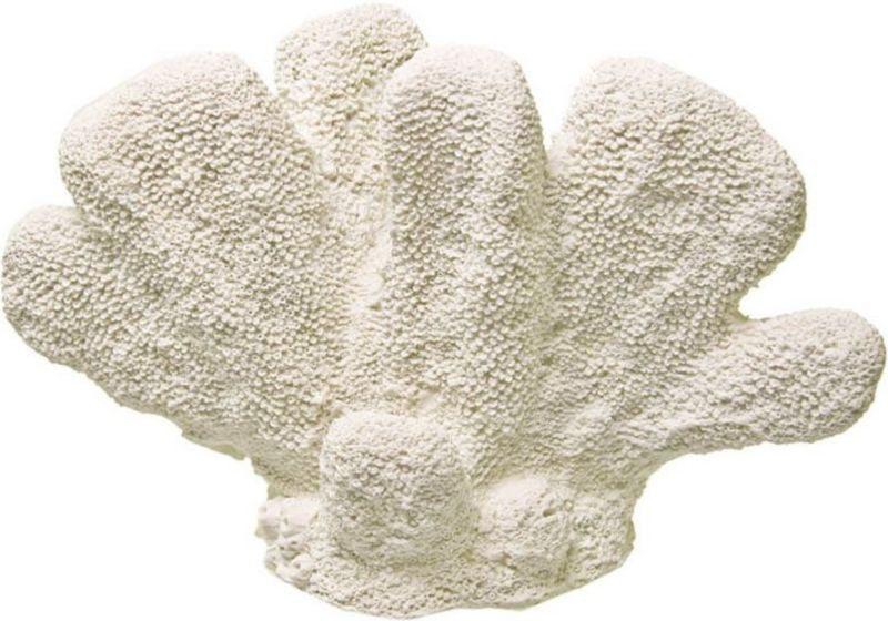 Exotic Environments CatS Paw Coral Medium White