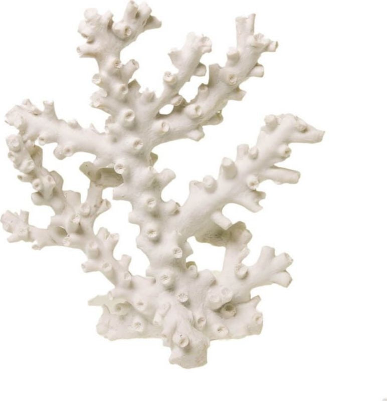 Octopus Coral Small White