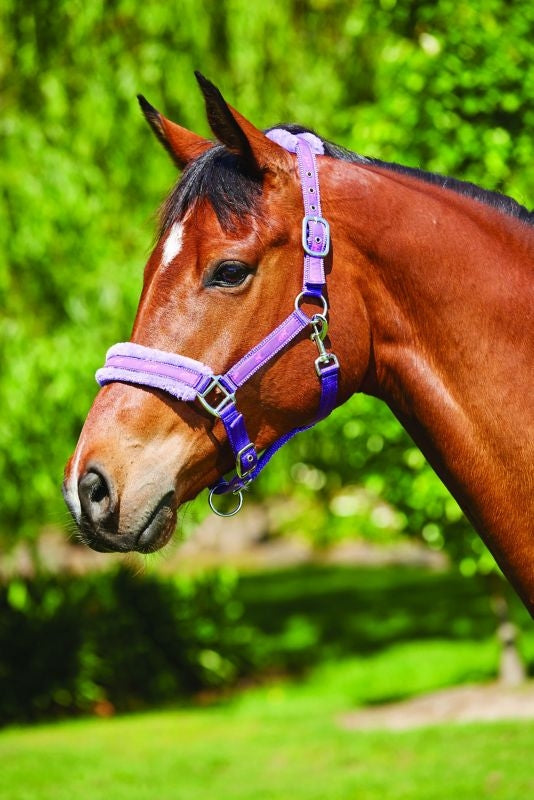Saxon Fleece Lined Ribbon Headcollar