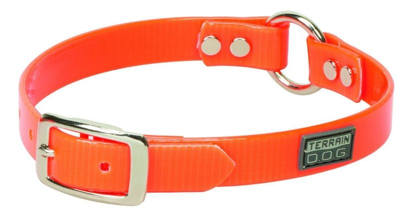 Terra Dog Brahma Webb Clear Coat Collar