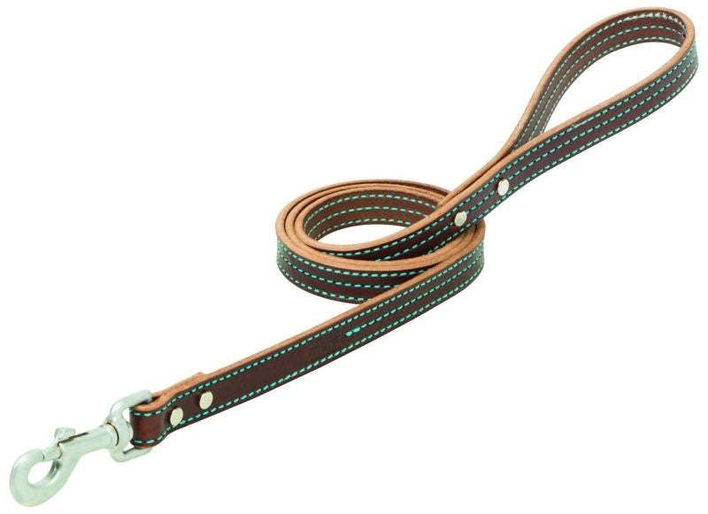 Weaver Terrain Dog Straight Leash