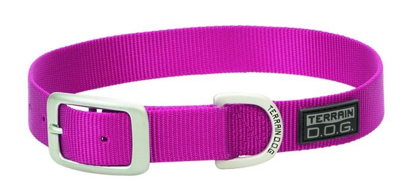 Weaver Terrain Dog Single Ply Collar