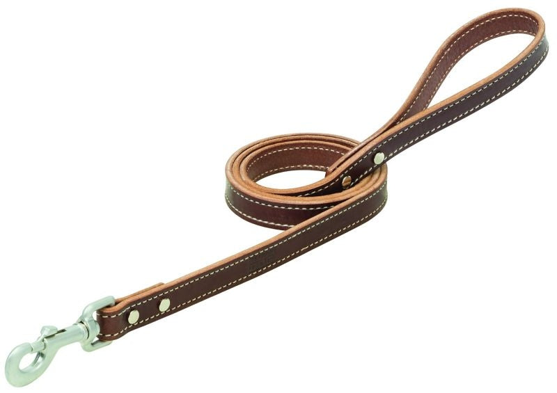 Weaver Terrain Dog Straight Leash