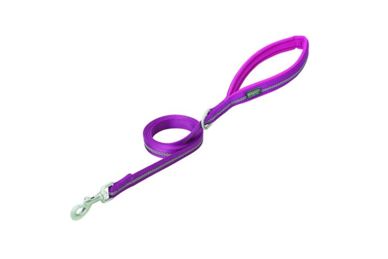 Weaver Terrain Dog Reflective Leash