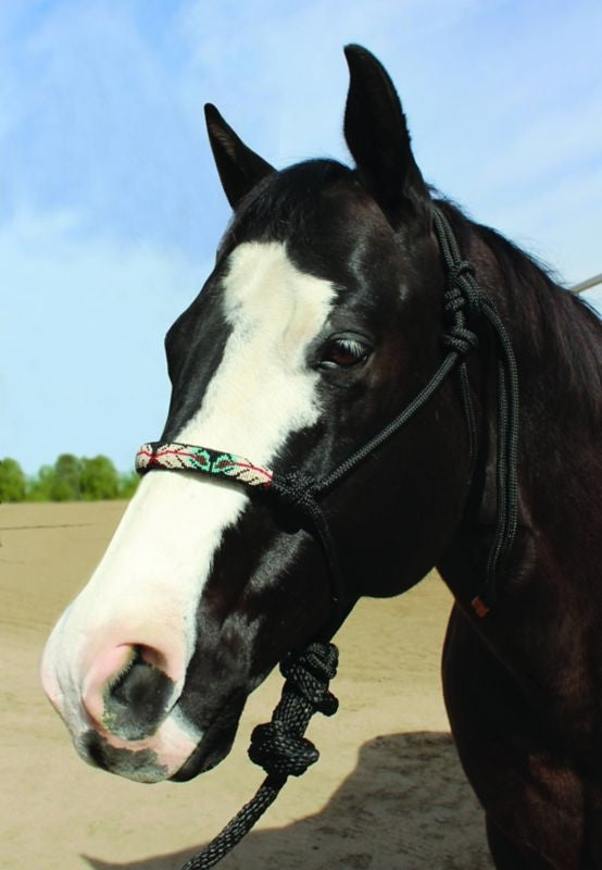 Prof Choice Beaded Roper Halter Black/Feathers