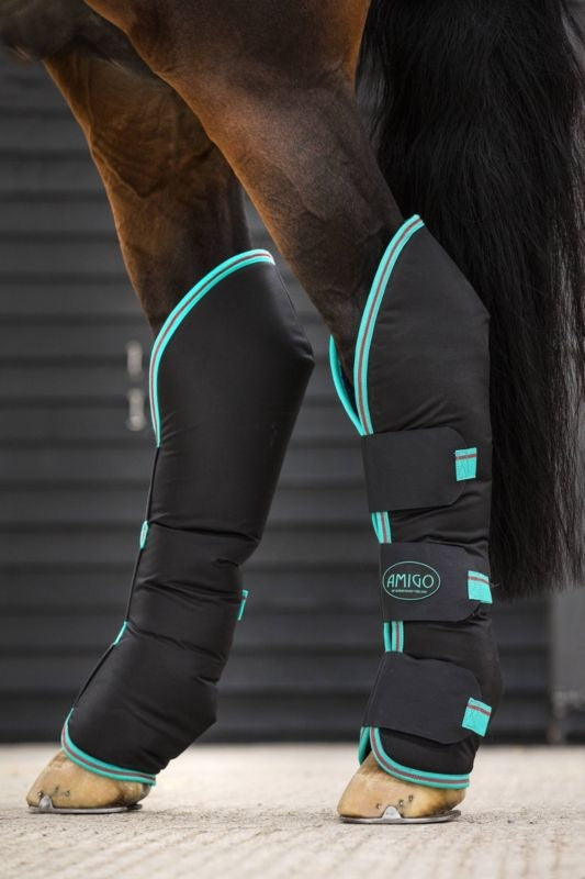 Amigo Travel Boots