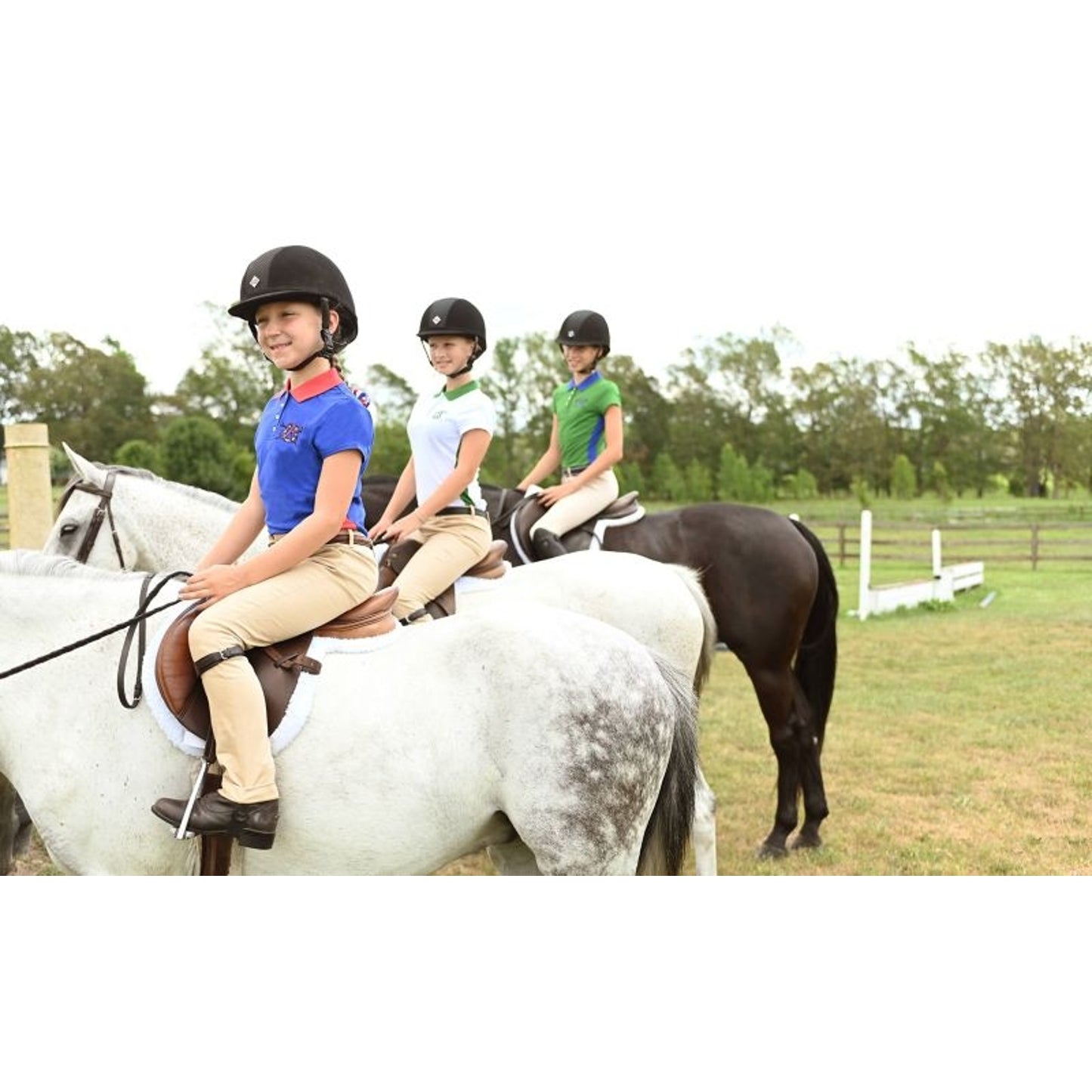 TH1561954_91853.jpg