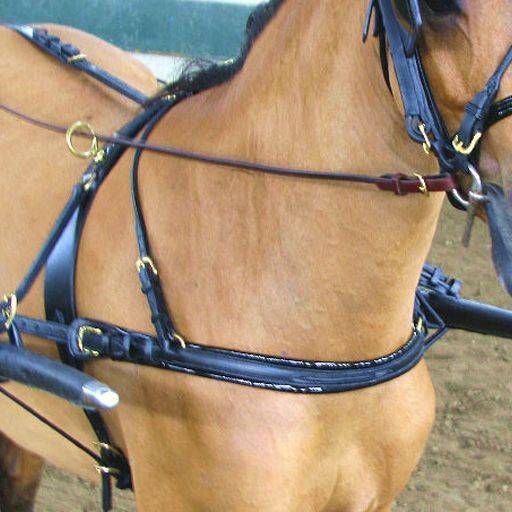 Mini Show Breast Collar/Buckle in Traces Mini Blac