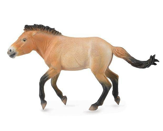 Breyer by CollectA - Przewalski Stallion 6.3"L x 3