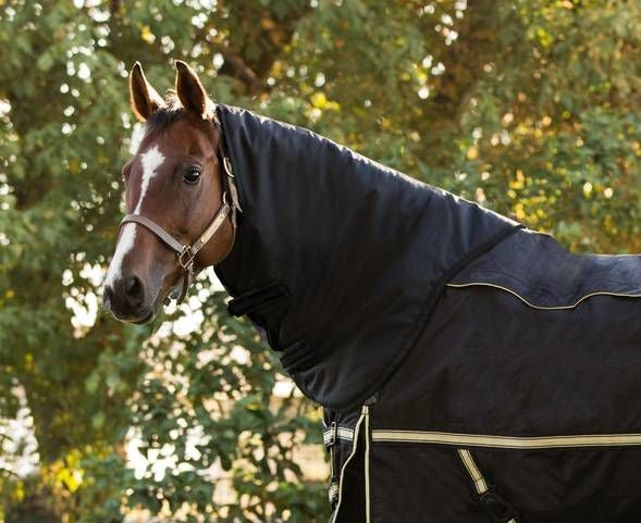 FREE $50 Neck Cover With Purchase of Noble Equestr