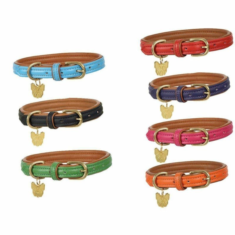 Shires Digby Fox Padded Leather Dog Collar