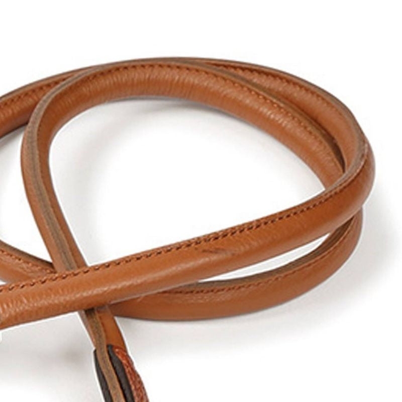 Shires Digby Fox Rolled Training Lead