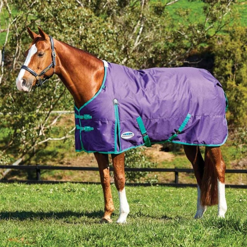 Weatherbeeta ComFiTec Essential Standard Neck Heavy Blanket