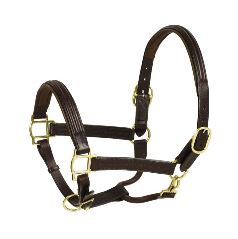 Aramas Double Raised Padded Halter- 1 Inch Wide Fu