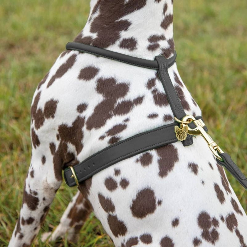 Shires Digby Rolled Leather Harness