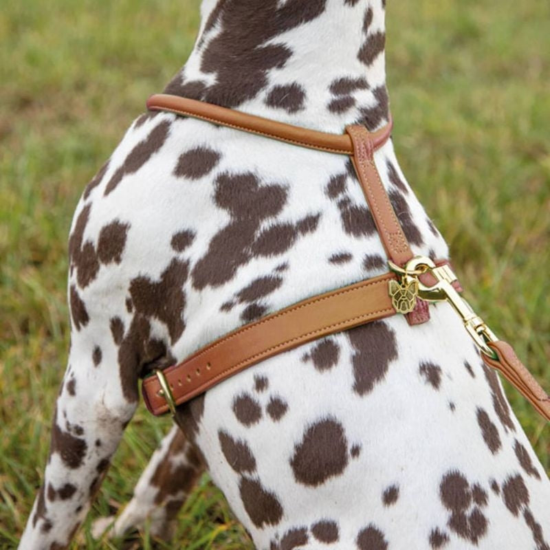 Shires Digby Rolled Leather Harness