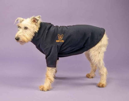 Shires Digby Fox Fleece Dog Jumper