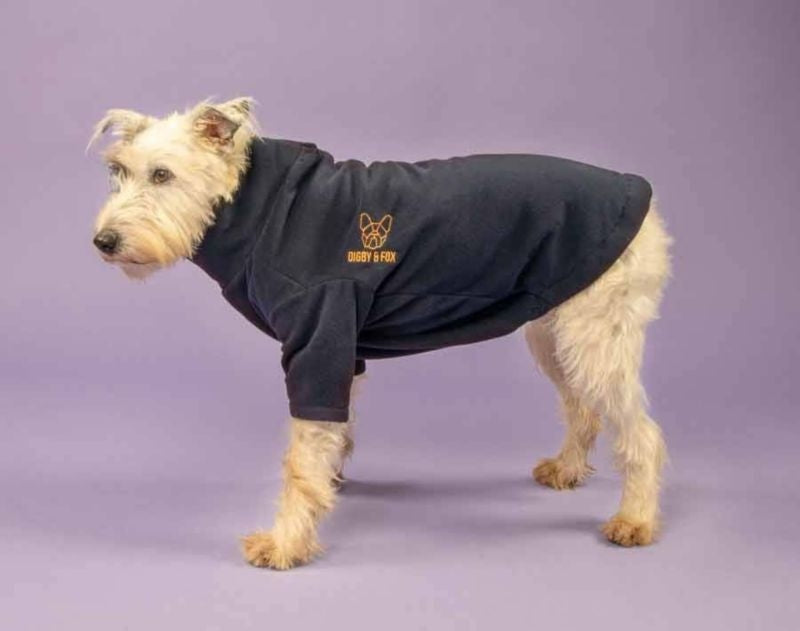 Shires Digby Fox Fleece Dog Jumper