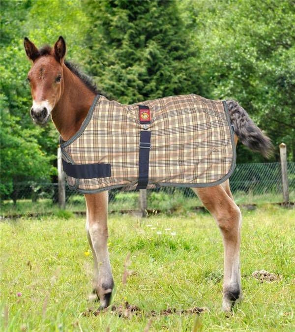 Baker Expand-O-Blanket Turnout for Foal & Pony Lar