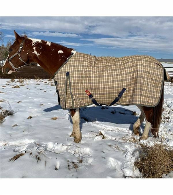 Baker Extreme Turnout Blanket 555G 82 Original Pla
