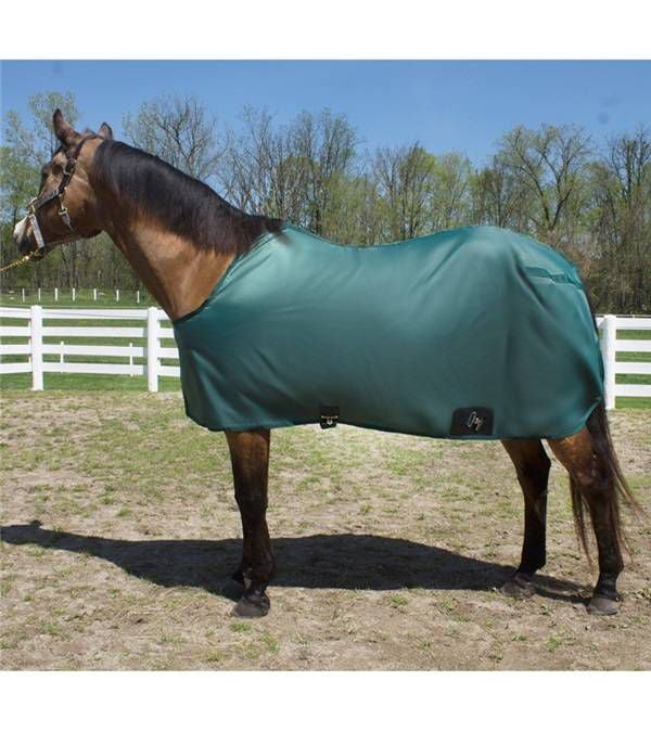 Tough1 Large Polymar Whip/Crop Holder 12 Brn
