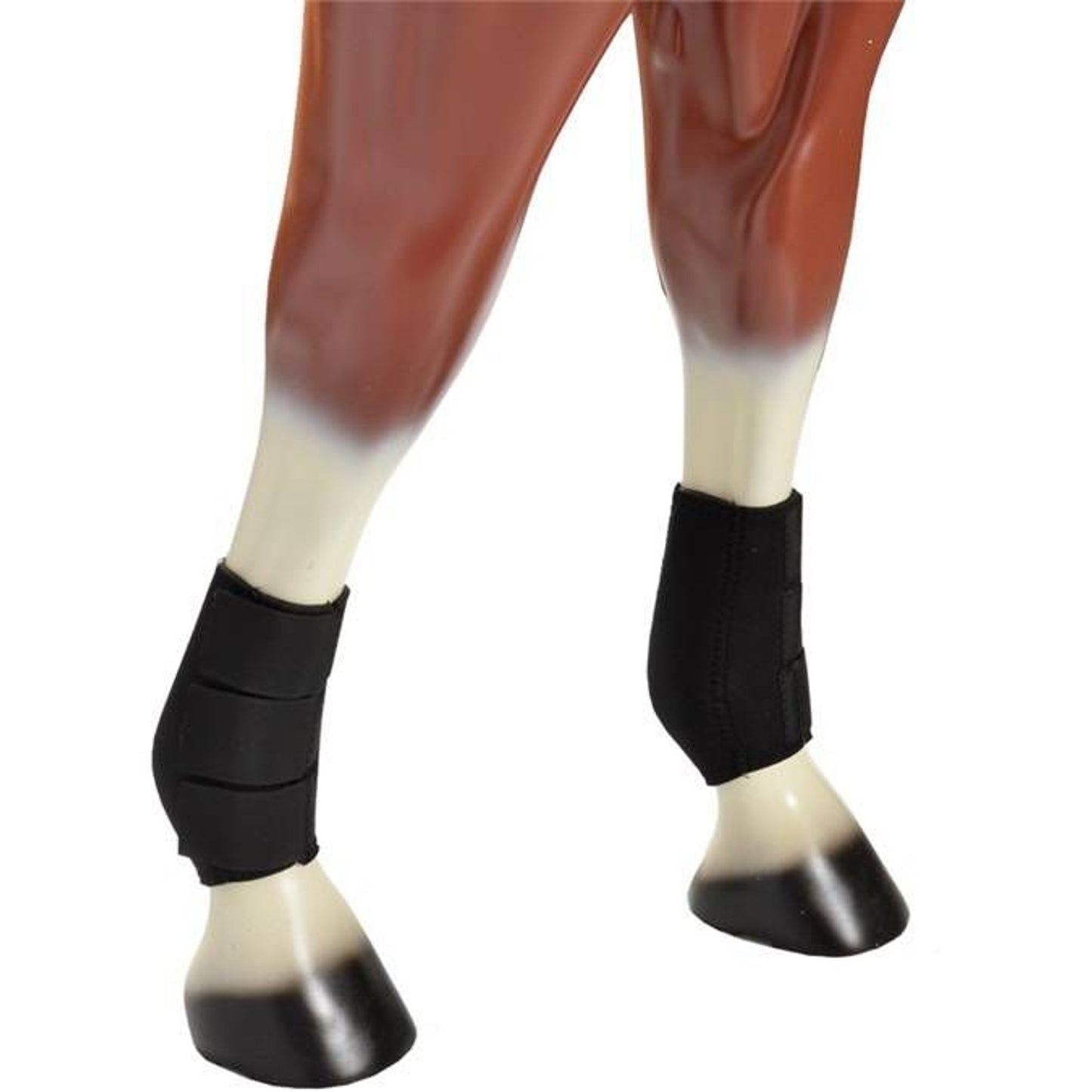 TH1656767_461495.jpg