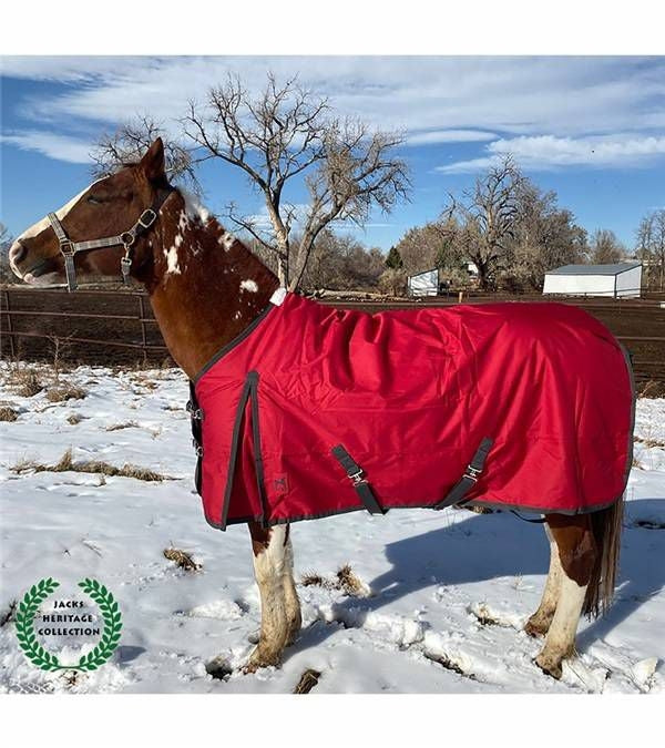 Jacks Atlas 600D Turnout Blanket with 300GM Lining