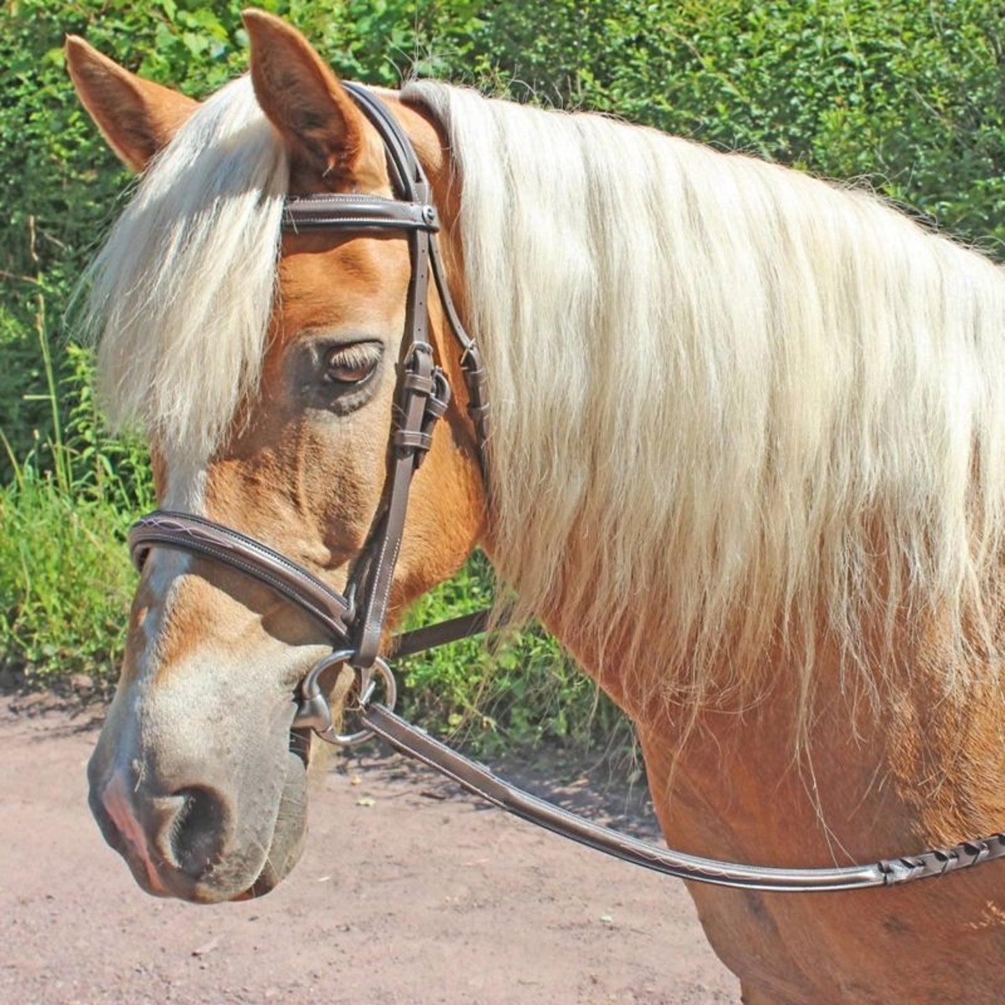 TH1659998_15152.jpg