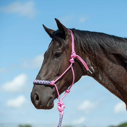 Cashel Braided Rope Halter with Lead 8 Ft Lead Black