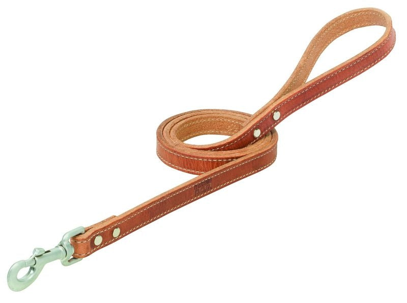 Weaver Terrain Dog Straight Leash